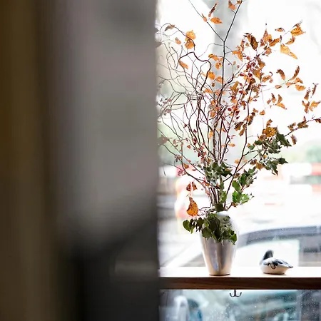 Gæstehus Fuerdich Zürich